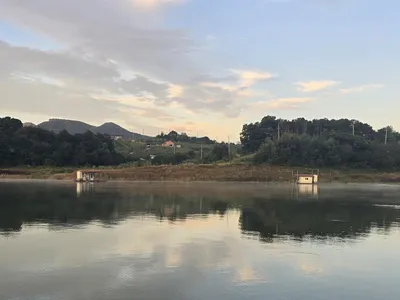 청풍 한버들 조황입니다