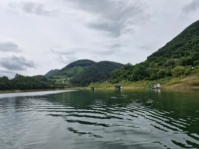 용곡 김기호 낚시터 사짜 조황정보 입니다