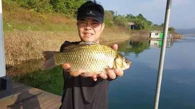 제천 김기호 낚시터 조황 소식이에요 :)