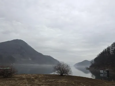 3월의시작 대물과 함께