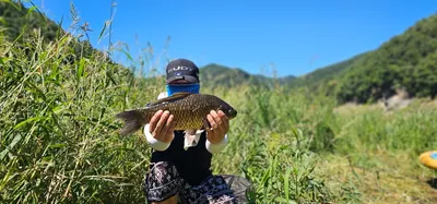 충주 명서낚시터 조황입니다