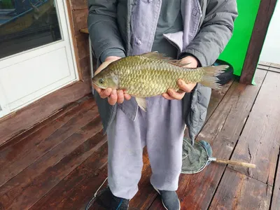 05.29. 김기호 낚시터 조황입니다