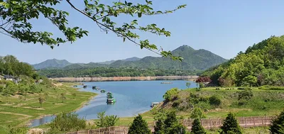 용곡 김기호 낚시터 조황입니다