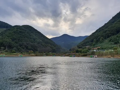 용곡 김기호 낚시터 허리급 조황 입니다