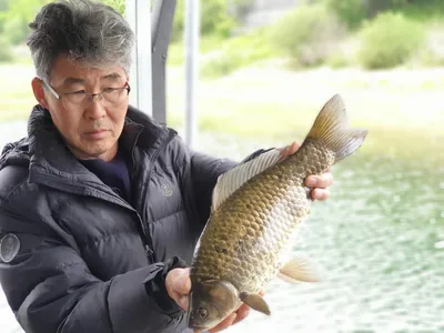 솔낚시터 43.4 조황소식입니다.