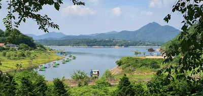 용곡 김기호 낚시터 허리급 조황 입니다