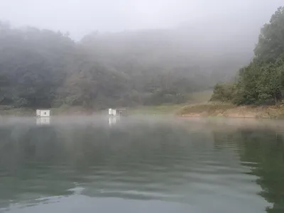 실리곡낚시터 42.5cm.4짜 조황입니다.