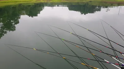 청풍 한버들 낚시터 4짜포함 허릿급 조황입니다