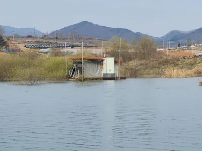 청풍 한버들 조황입니다