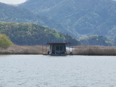 청풍 한버들 4짜 조황입니다