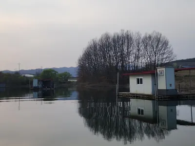청풍 한버들 4짜 조황입니다