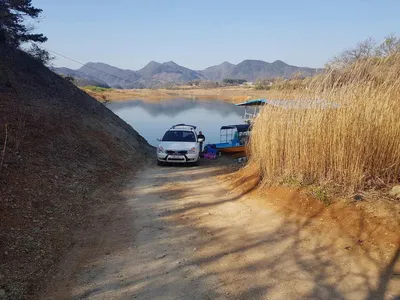 한버들 조황입니다