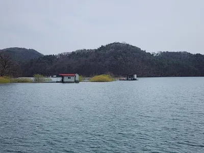 청풍 한버들 조황입니다