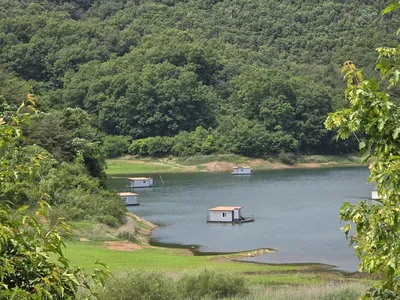 청풍실리곡낚시터 허리급 조황입니다.