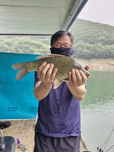 사오리 낚시터 조황정보