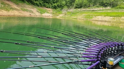 솔낚시터 사짜 및 월척 조황 소식입니다.