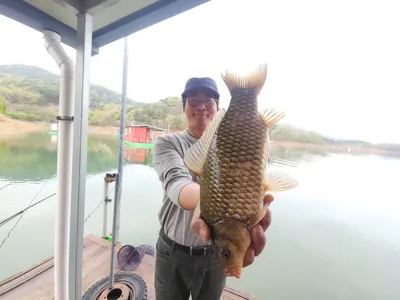 돌감낚시터 4짜 및 붕어조황입니다.