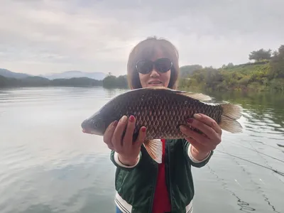 돌감낚시터 붕어조황입니다.