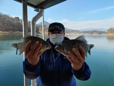 돌감낚시터 붕어조황입니다.