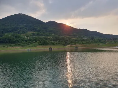 용곡 김기호 낚시터 조황정보 입니다