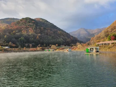 용곡 김기호 낚시터 조황정보 입니다