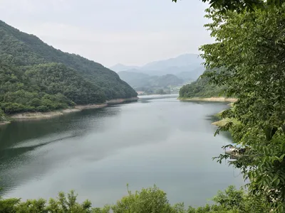 청풍실리곡낚시터 41cm, 4짜 조황입니다.