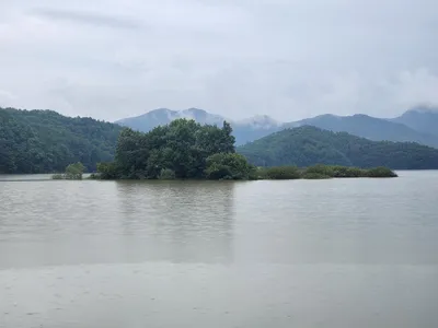 청풍 한버들 4짜,4짜,4짜및 초대박 조황입니다