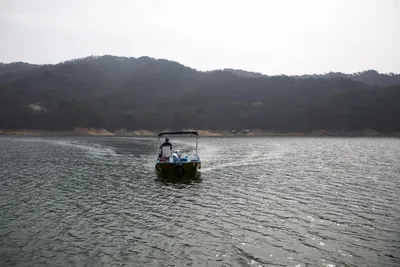 솔낚시터 조황 소식입니다.