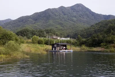 솔낚시터 조황소식 입니다.