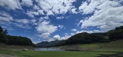 신매낚시터 7월 6일 조황