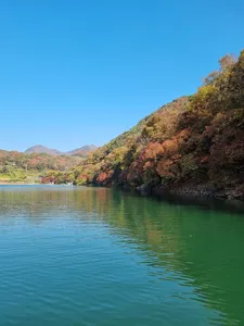 사오리 낚시터 조황정보