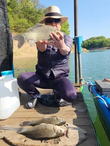 돌감낚시터 붕어조황입니다.