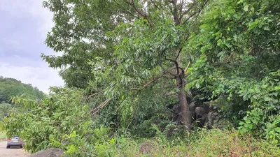 신매낚시터 태풍상황