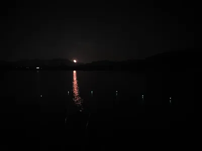 용곡 김기호 낚시터 허리급 조황입니다