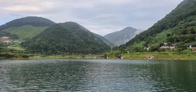 용곡 김기호 낚시터 허리급 조황 입니다