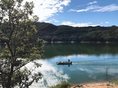 솔낚시터 4짜 조황소식 입니다!!