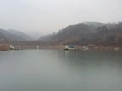 실리곡낚시터 38.5cm,37cm,35cm 조황입니다.