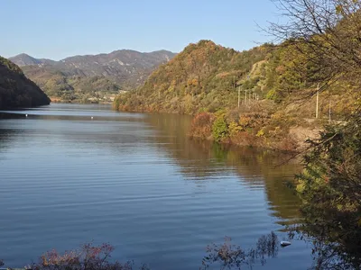 청풍실리곡낚시터 허리급 조황입니다.