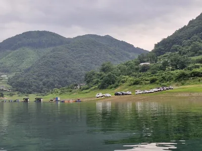 용곡 김기호 낚시터 조황정보 입니다