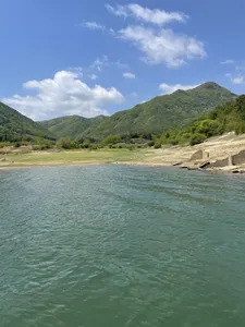 솔낚시터 조황소식 입니다.