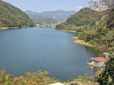 청풍실리곡낚시터  조황입니다.