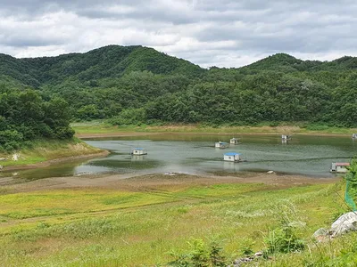 실리곡낚시터 41cm외 허리급 조황입니다.