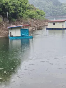 사오리낚시터 조황정보