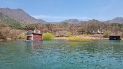 솔낚시터 봄 사짜조황 소식입니다