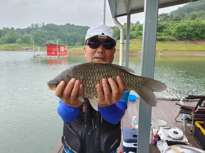 돌감낚시터 4짜 조황입니다.