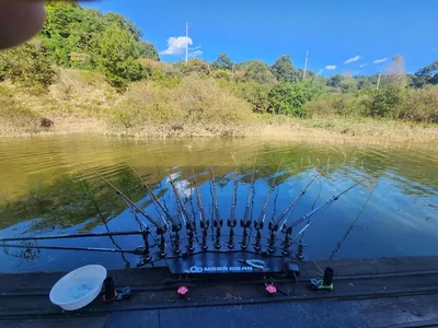 청풍 한버들 4짜및 허릿급 조황입니다