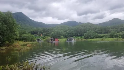 솔낚시터 조황소식 입니다