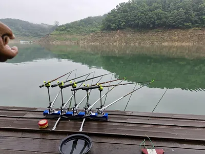 김기호 낚시터 조황정보 입니다