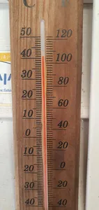 신매낚시터 7월 29일조황 