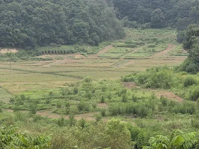 청풍 실리곡낚시터 조황입니다.